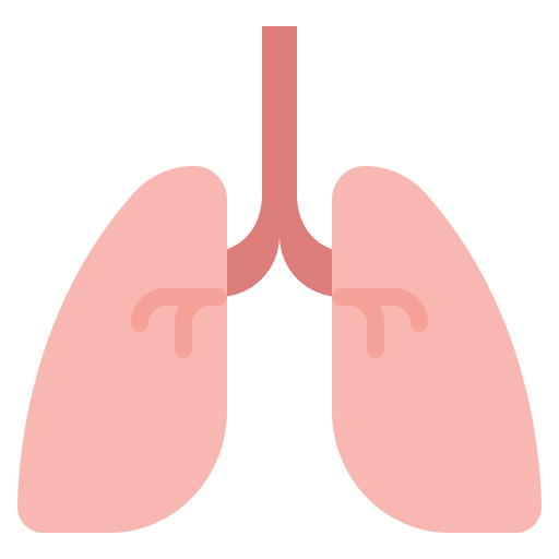 pulmones icono gratis