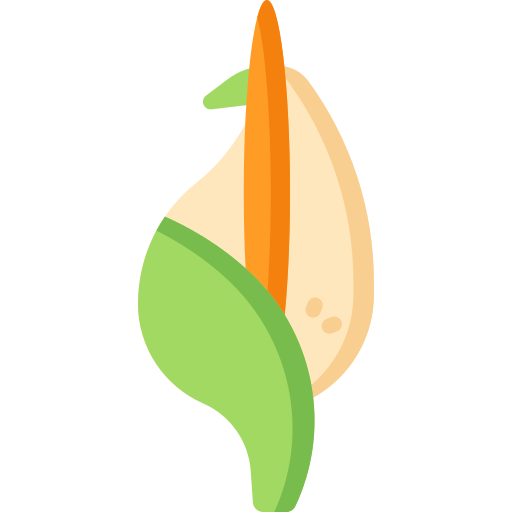 Цветок бесплатно иконка