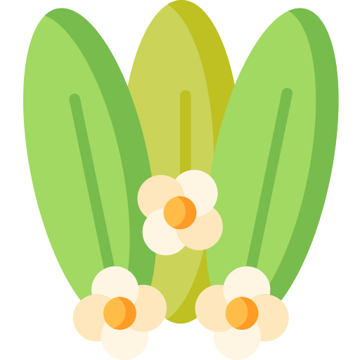 꽃 무료 아이콘