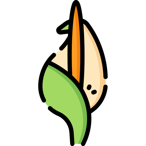 꽃 무료 아이콘