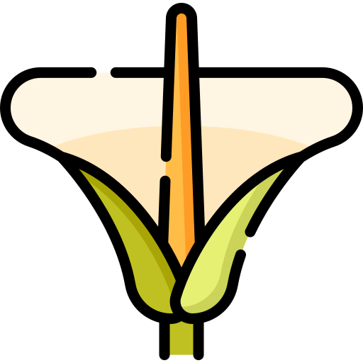 꽃 무료 아이콘