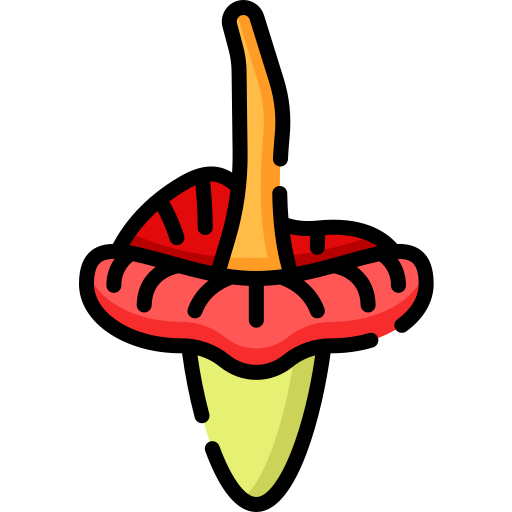 꽃 무료 아이콘