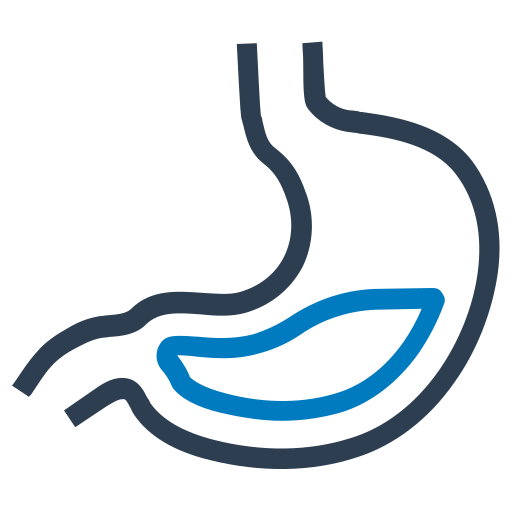 estomac Icône gratuit