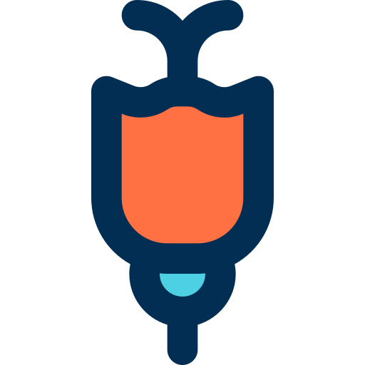 Тюльпан бесплатно иконка Тюльпан бесплатно иконка