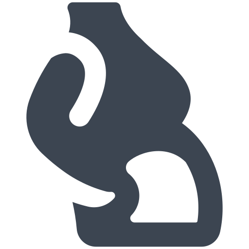 femenino icono gratis