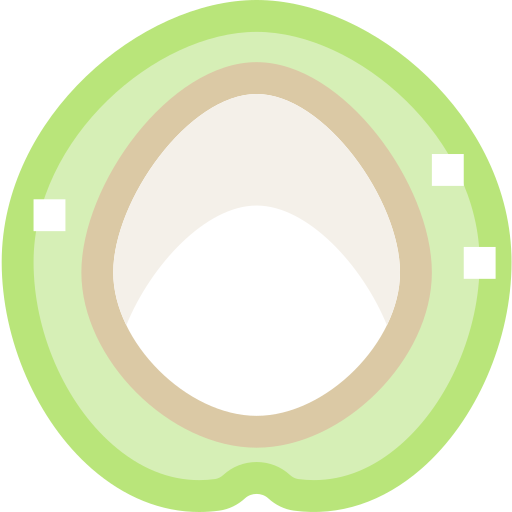 noix de coco Icône gratuit noix de coco Icône gratuit