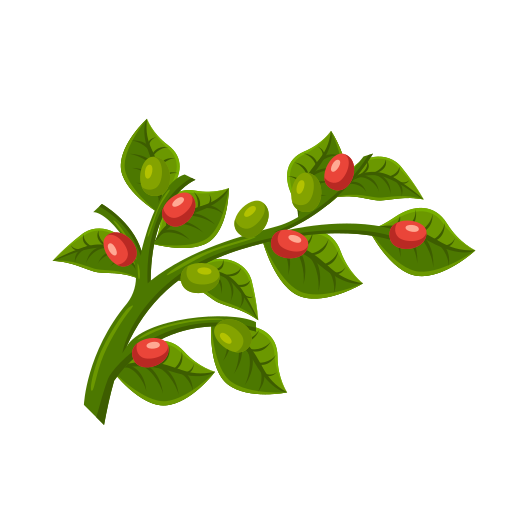 planta de café grátis ícone planta de café grátis ícone