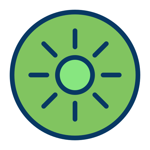 Kiwi free icon Kiwi free icon