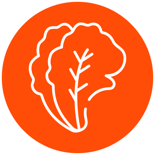 Salad free icon