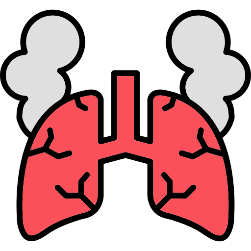pulmón icono gratis
