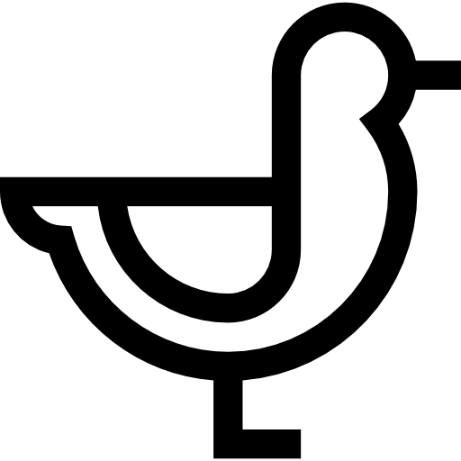 gaviota icono gratis