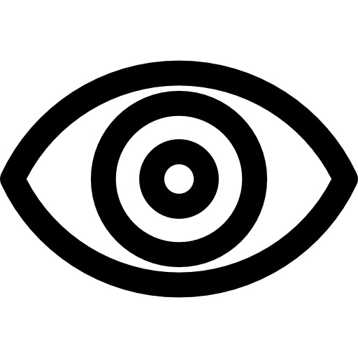 Surveillance Basic Rounded Lineal Icon