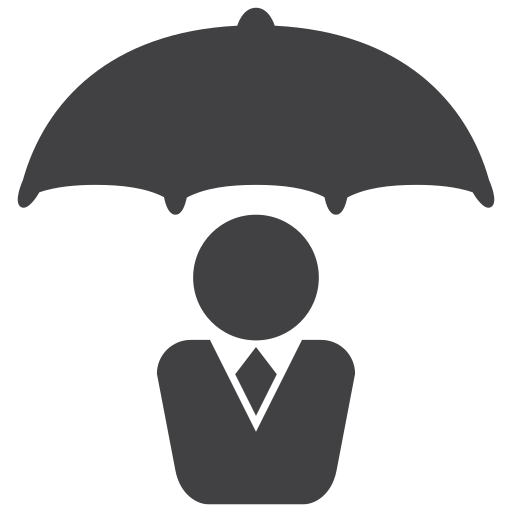 escudo grátis ícone