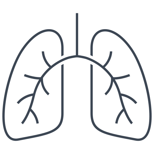 Дыхание бесплатно иконка
