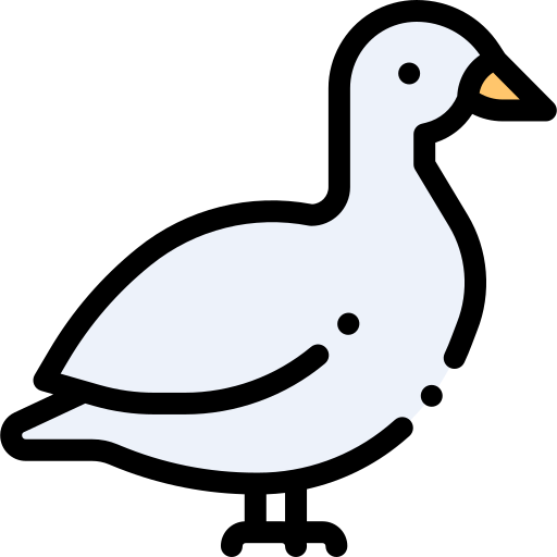 Pato icono gratis