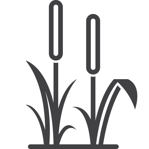갈대 무료 아이콘