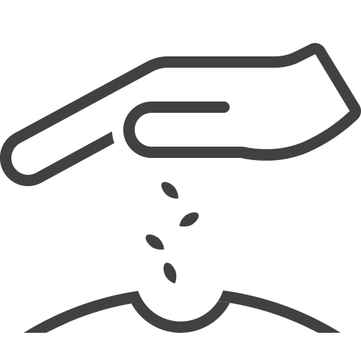 씨앗 무료 아이콘