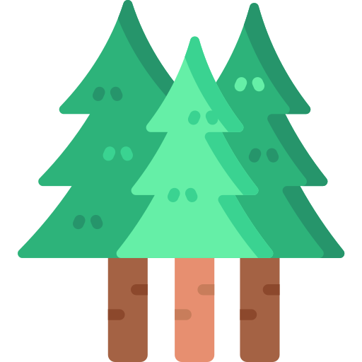 Forest Special Flat icon