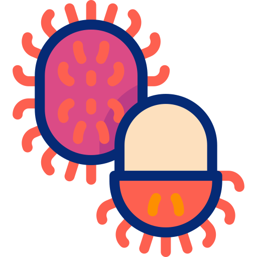 rambutão grátis ícone rambutão grátis ícone
