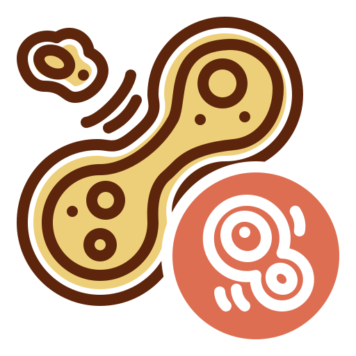 mitose Icône gratuit mitose Icône gratuit