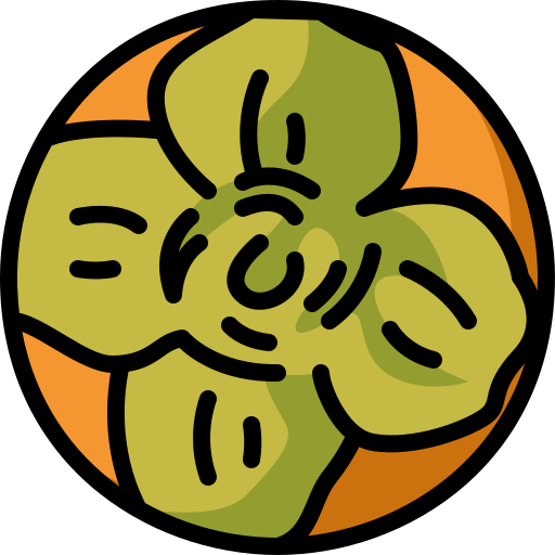 Persimmon free icon