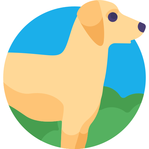 Perro icono gratis