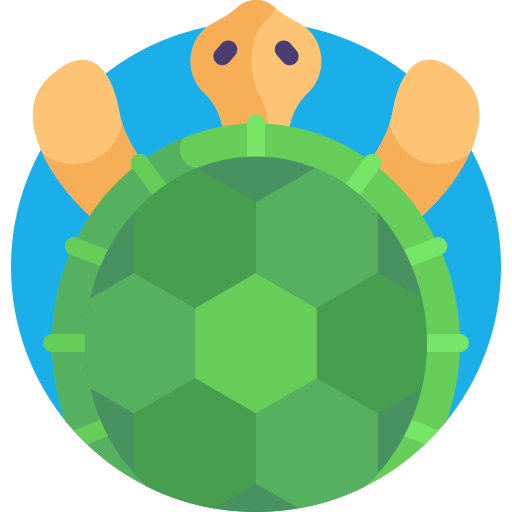 Tortuga icono gratis