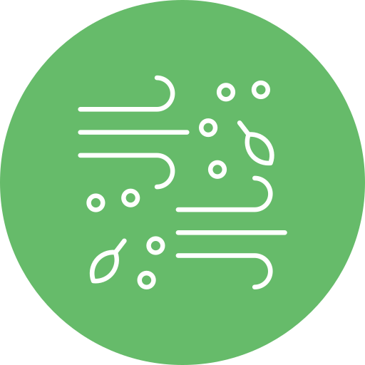 Wind free icon