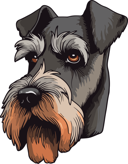 schnauzer medio icono gratis