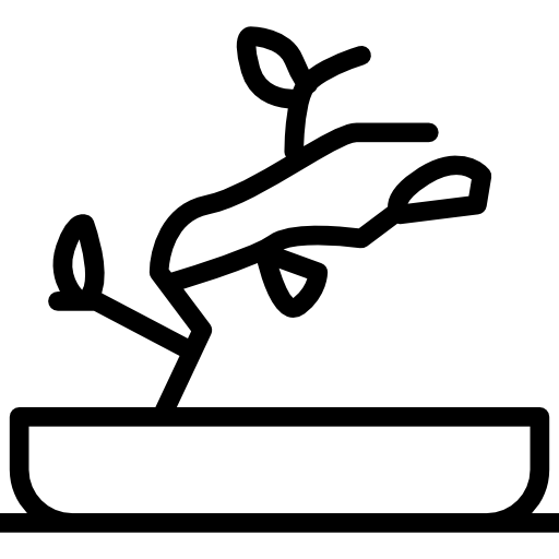 bonsai grátis ícone