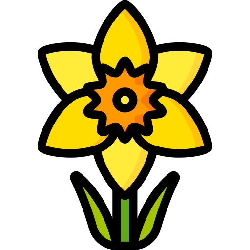 Daffodil Basic Miscellany Lineal Color icon