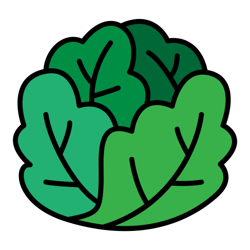 kopfsalat kostenlos Icon kopfsalat kostenlos Icon