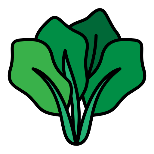 kopfsalat kostenlos Icon kopfsalat kostenlos Icon