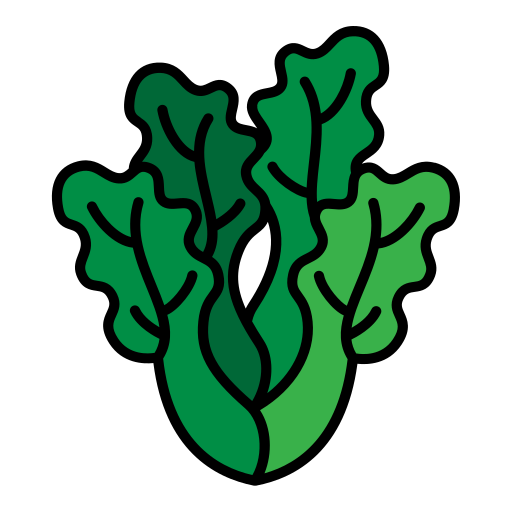 kopfsalat kostenlos Icon kopfsalat kostenlos Icon