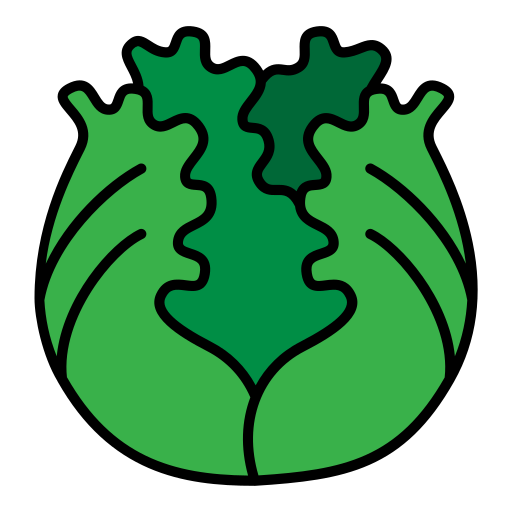 kopfsalat kostenlos Icon