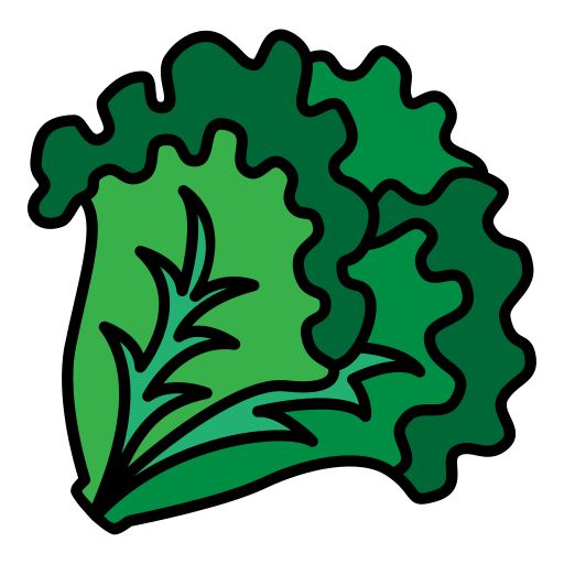 kopfsalat kostenlos Icon kopfsalat kostenlos Icon