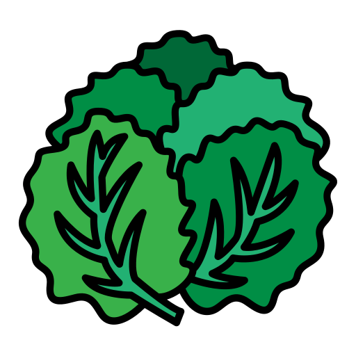 kopfsalat kostenlos Icon kopfsalat kostenlos Icon
