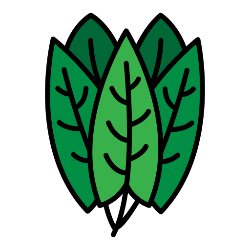 kopfsalat kostenlos Icon kopfsalat kostenlos Icon
