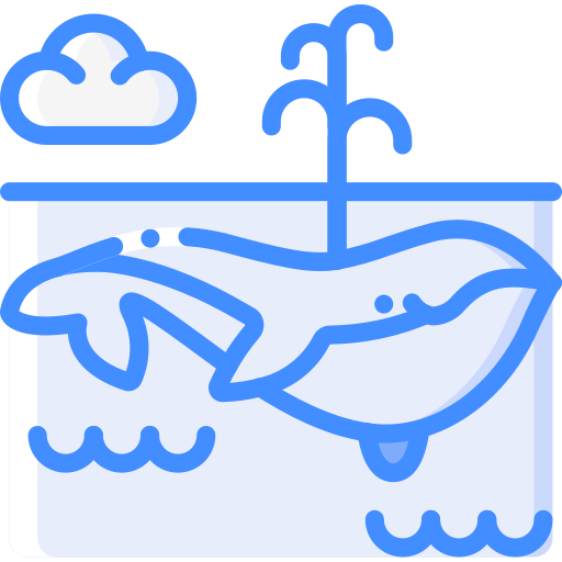 Blue whale free icon