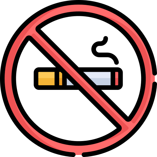 No smoking Special Lineal color icon