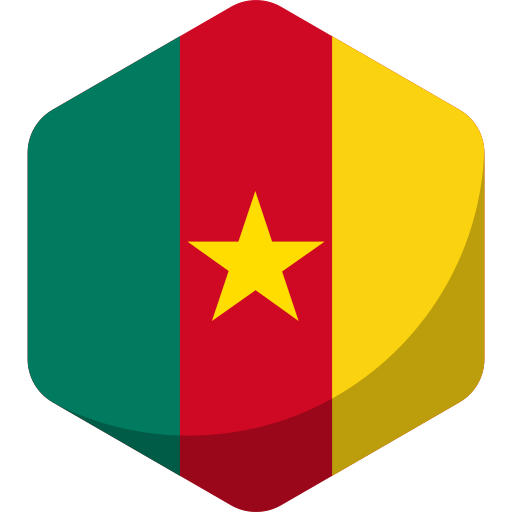 bandeira dos camarões grátis ícone bandeira dos camarões grátis ícone