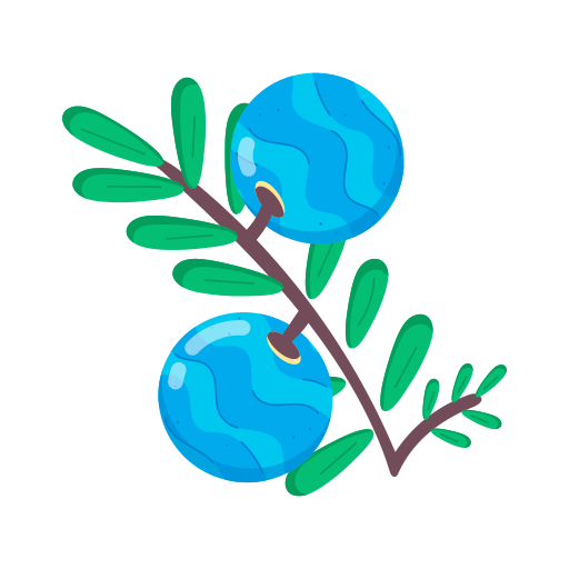 베리 무료 아이콘