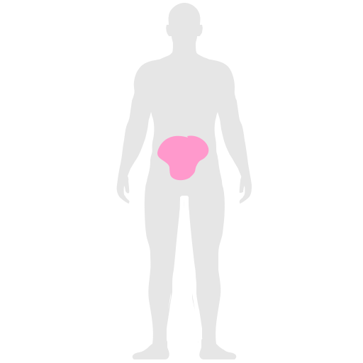 Здоровье бесплатно иконка