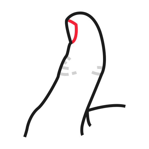 Большой палец бесплатно иконка