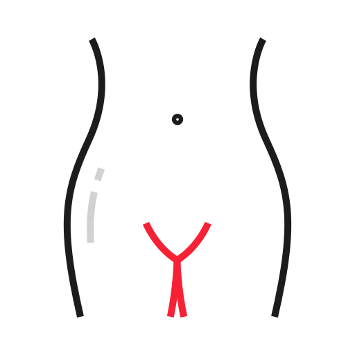 cintura icono gratis