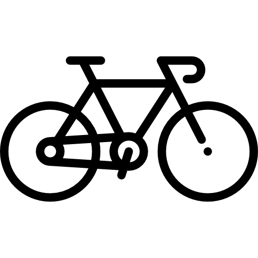 Bicycle Special Lineal icon