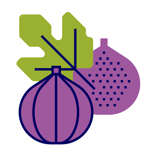 Fig free icon Fig free icon