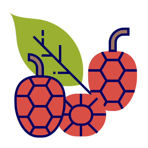 fruit Icône gratuit fruit Icône gratuit