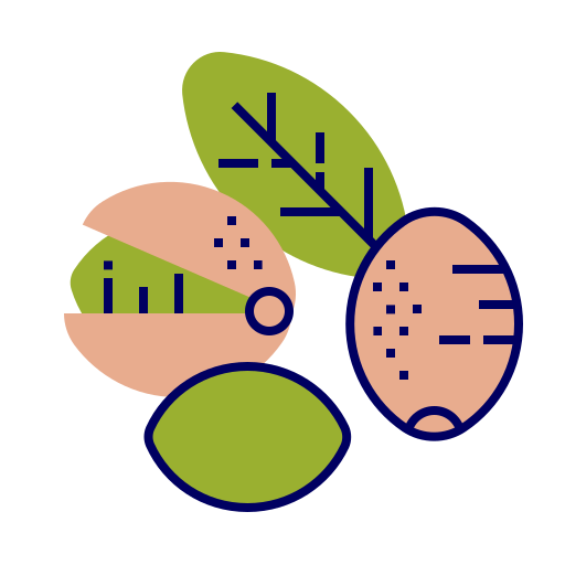 Fruit free icon Fruit free icon
