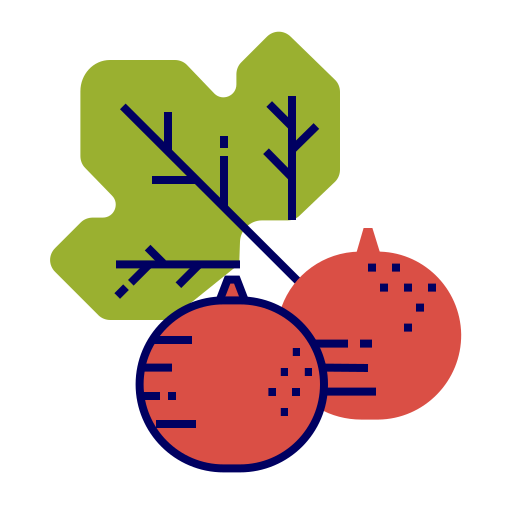 Fruit free icon